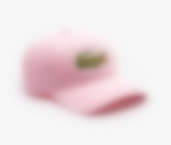 

2023 luxury casquette designer letter ambroidered cotton couple baseball hat n13, Blue;gray