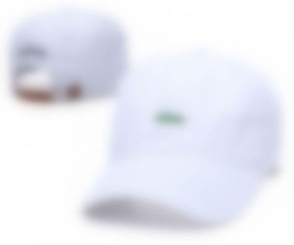 

2023 luxury casquette designer letter ambroidered cotton couple baseball hat n17, Blue;gray
