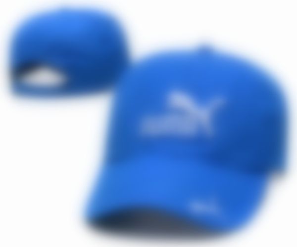 

2023 ball caps with quality embroidery fashion truck hat man woman adjustable cap n13, Blue;gray