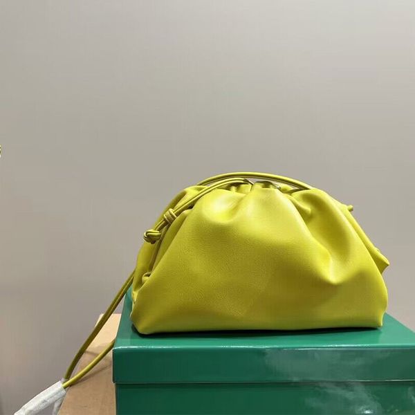 

designer mini cloud bag the pouch soft calfskin woman clutch bags genuine leather famous hand bag fashion women classic upgrade shoulder coi