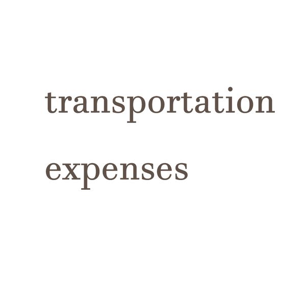

transportation expenses pay extra fees make up the difference other goods watch224b, Slivery;brown