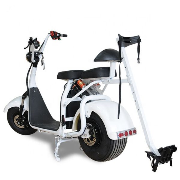 

fashional golf holder citycoco electric scooter for lady