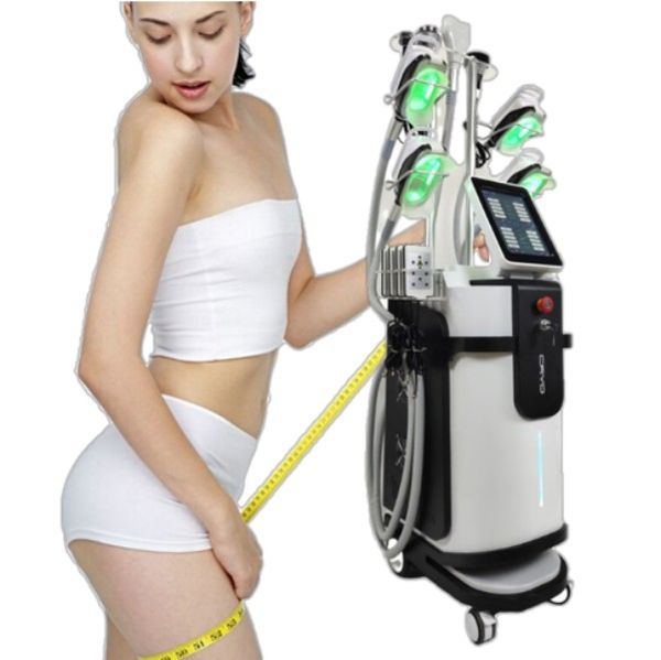 

beauty items cryolipolysis fat ing vacuum therapy machine