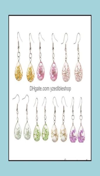 

dangle chandelier earrings jewelry real dried flower fashion womens waterdrop glass statement sier plated drop delivery 2021 c7m5298622, Silver