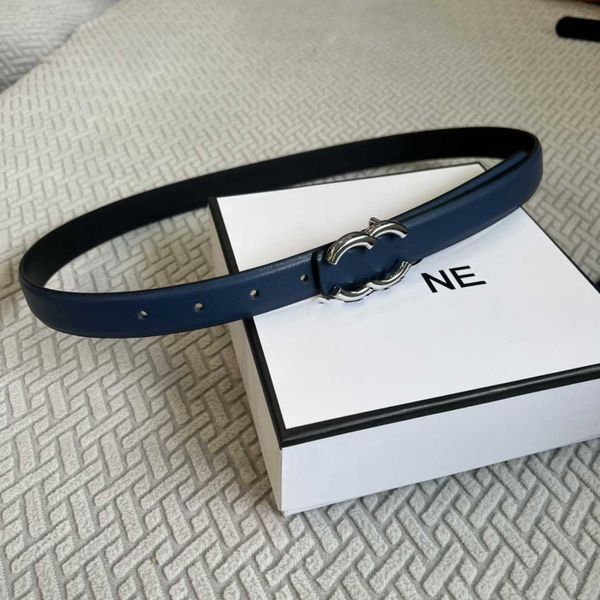 

designers classic belt color clasp belts for women luxury designer belt vintage pin needle buckle beltss 6colors width 2.5 cm size 100-110 c, Black;brown