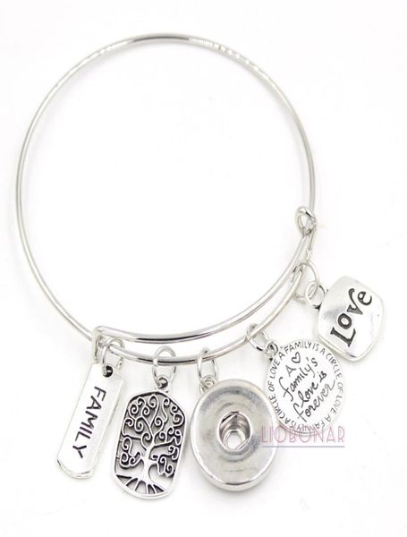 

whole snap jewelry adjustable expandable wire bangle memorial family tree charm bracelets snap button bracelets for family gif3666377, Golden;silver
