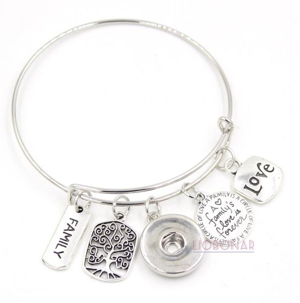 

whole snap jewelry adjustable expandable wire bangle memorial family tree charm bracelets snap button bracelets for family gif4580896, Golden;silver