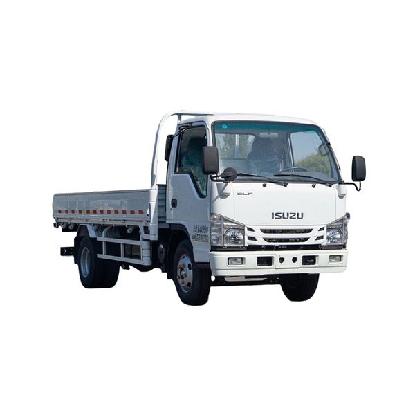 

isuzu 100p 4x2 small 2-4ton single-row light truck mini truck china camera cargo truck 4x2 off road 3.5 ton 5 ton 4x4 left