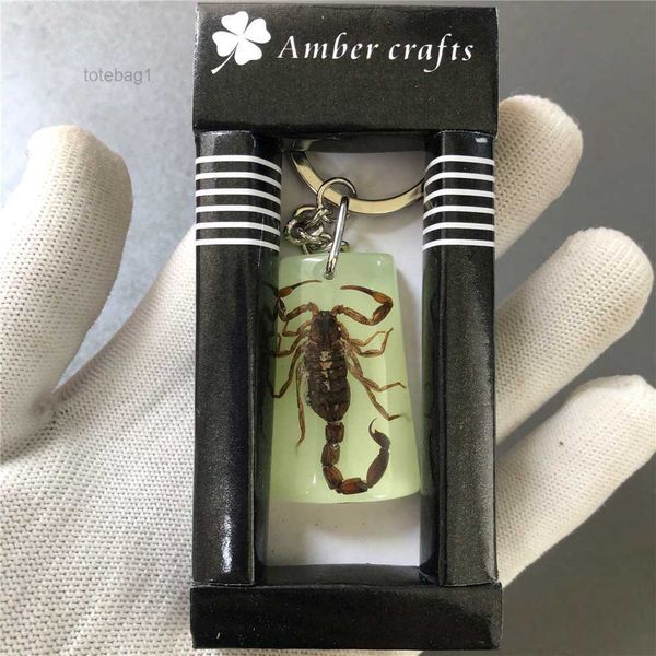 

accessories designer keychain insect specimen amber fashion car gift pendant jewelry wholesale 1 box of 12 pieces 3 3xu2, Silver