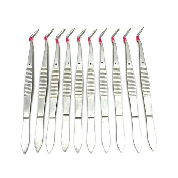 

hygiene 10 pcs new medical forceps tweezers dental instruments
