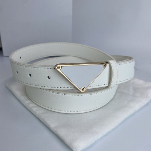 

designer mens belt pyramide cintura reversible belts 20-40mm with initials p silver gold black buckle homme steel, Black;brown