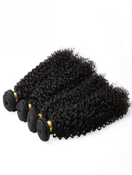 

brazilian virgin hair mongolian malaysian brazilian indian peruvian jerry curly hair extension unprocessed human hair weave7382491, Black