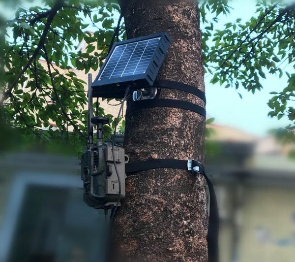 

solar panel solar power charger for 4g hunting camera hunting cameras7575214