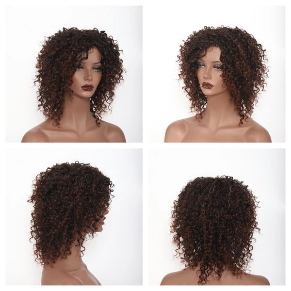 

Curly Wigs for Black Women Wigs Like Human Hair Wigs Cheap Wigs Glueless Wigs Pre Plucked 14 Inches Kinky Curly Dark Brown and Blonde, Mix color