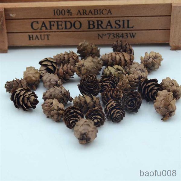 

sachet bags 50pcs natural mini pine nuts artificial fake fruit vegetable for home wedding decoration christmas tree decoration r230605