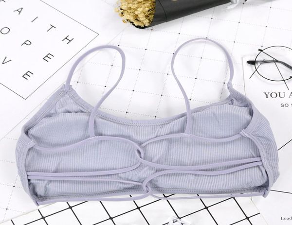 

yoga outfits beauty back bra women padded sports bra removable workout wireless fitness elastic thin shoulder strap2583373, White;red