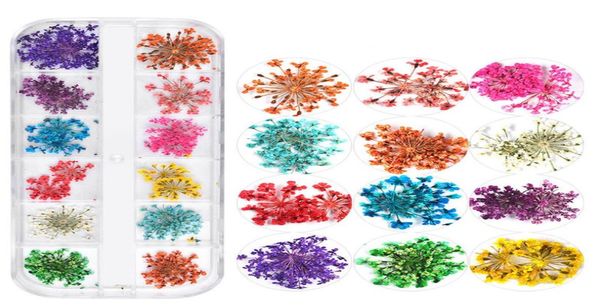 

nail dried flowers 3d nail art sticker for tips manicure decor mixed accessories nail flower decorators for salon9782098, Silver;gold