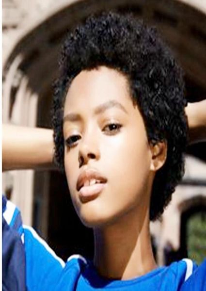 

short human hair nonremy curly wigs for women full machine made afro kinky curly pixie cut wig4958250, Black;brown