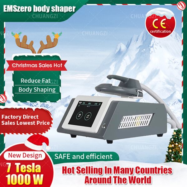 

new slimming machine 2024 mini 1 handle multi-functional replacement dls-ems-limhiemt rf home fitness ems muscle stimulation fat burning bea