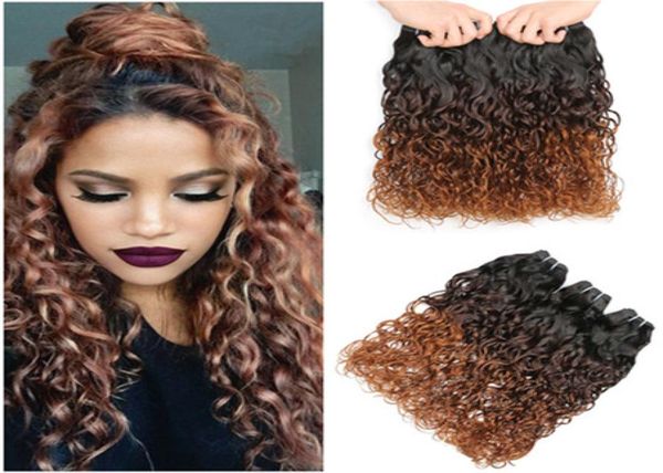 

1b430 auburn ombre brazilian wet and wavy human hair weaves 3pcs black brown auburn 3tone ombre virgin hair bundles water wave5126990