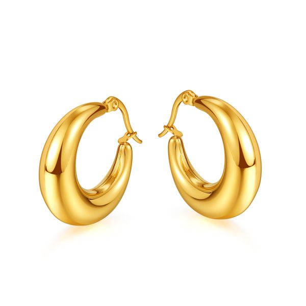 

gold-plated stainless steel earring hoops for women mens charming jewelry 25mm size family gifts n813, Golden;silver