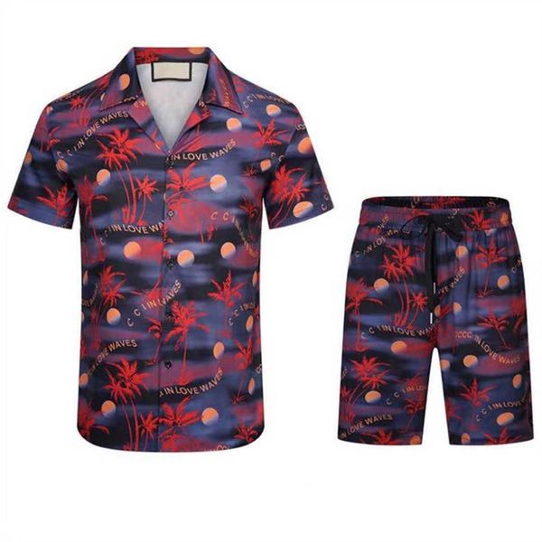 

new summer designers tracksuits bowling shirts board beach shorts fashion outfit men casual hawaii shirt quick drying swimwear asian size, Gray