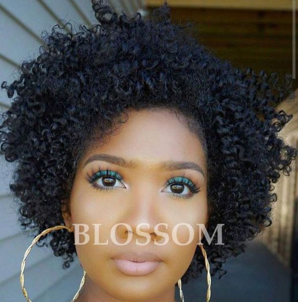 

2017 new arrival afro kinky curly brazilian human hair none lace wigs for black women natural black1141014, Black;brown