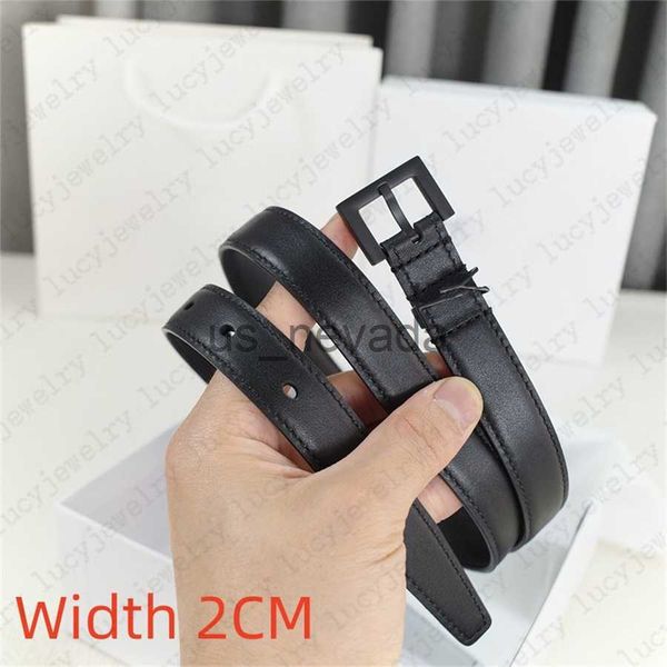 

other fashion accessories designer belt genuine leather belts man woman classic needle buckle accessories gold sliver color width 2cm or 3cm, Silver
