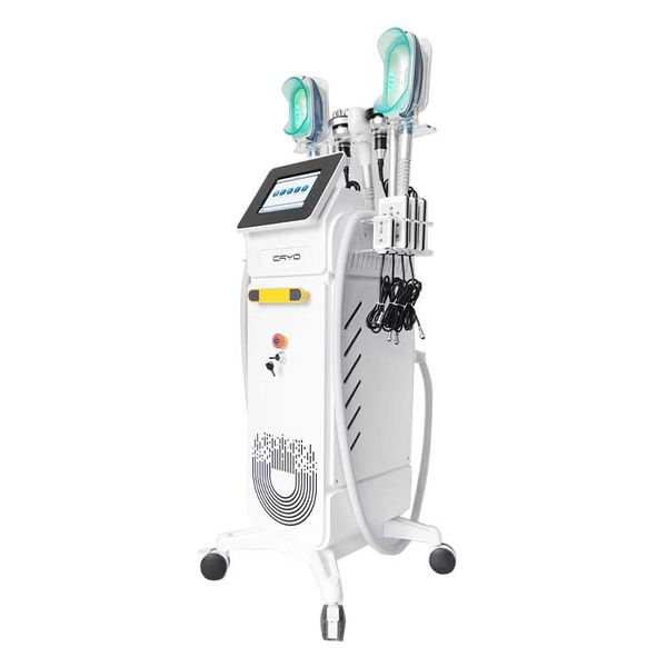 

cryolipolisis machine antie membrane cryolipolysis for fat removal