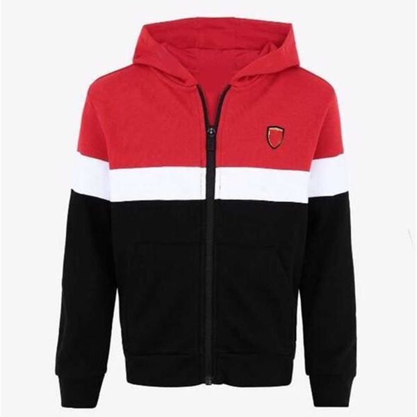 

2022 new f1 racing hoodie spring and autumn team sports jacket with the same customization 16pd, Black;brown