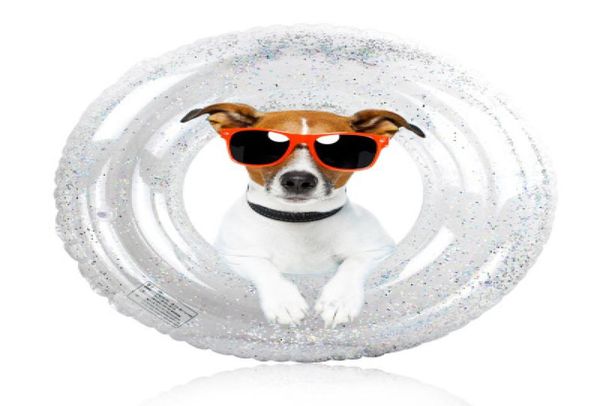 

60cm 50pcslot new sequins swim ring inflatable pool float for kids and adults by fast water toy sp204543610