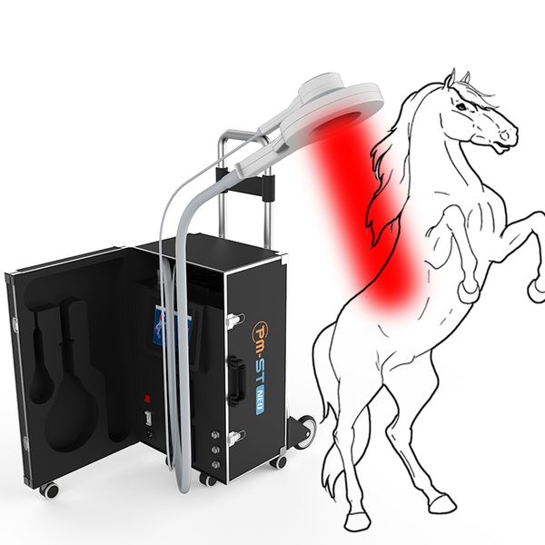 

3000hz 4tesal pemf electromagnetic field therapy vet physiotherapy device for ligament tendon muscle or bone injury conditions