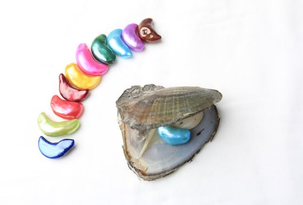 

new arrival 825 mm crescent pearl freshwater oyster edison freshwater pearl with beautiful colors for gift8752240, White