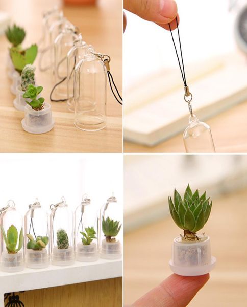 

succulent plant keychains mini bonsai flower pot green plants micro landscape mobile phone pendants bottle diy key chain8376748, Silver