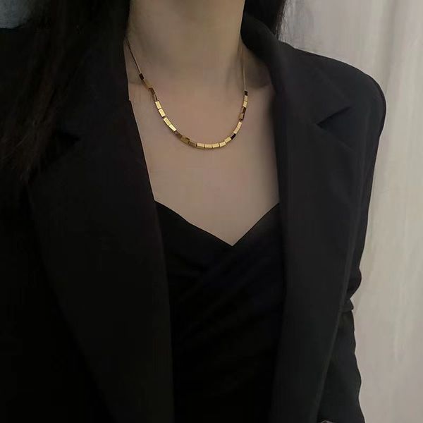 

square small snake bone neckchain titanium steel necklace women's summer colorless collar chain 2023 new women's unique design sen, Silver