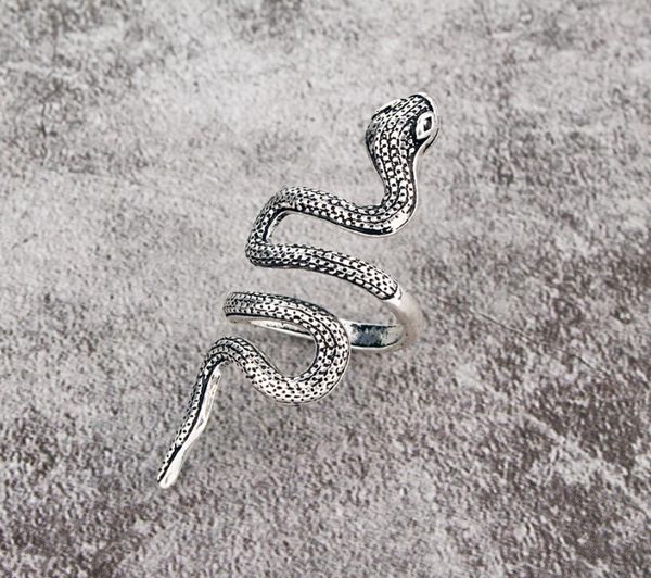 

european gothic minimalist retro novelty serpentine long ring trendy punk alloy ring men jewelry gifts5757601, Silver