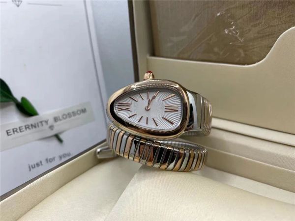 

women's watch, 32mm, stainless steel, double wound serpentine, imported quartz movement, spring strap, small fashion watches, Slivery;brown