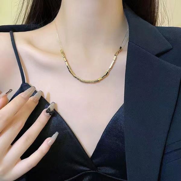 

small square snake bone neckchain titanium steel necklace women's summer colorless collar chain 2023 new women's unique design sen, Silver