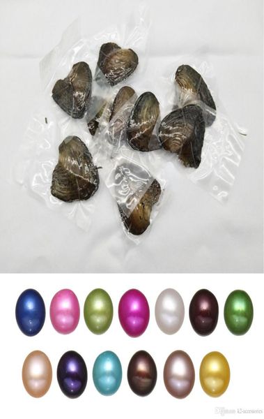 

fancy gift akoya love freshwater shell pearl oyster 68mm mixed colors pearl oyster with vacuum packaging2523808, White