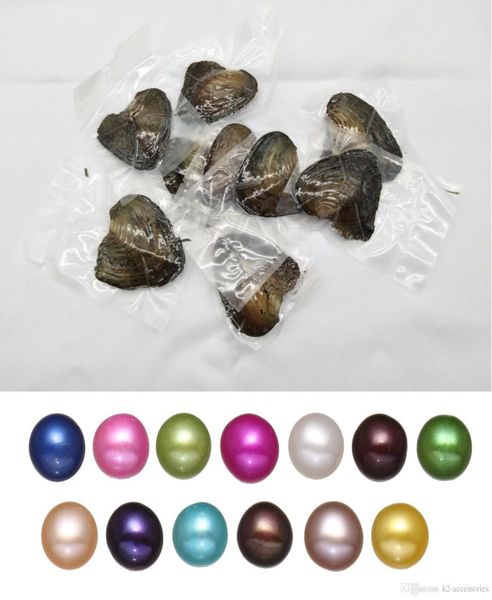 

fancy gift akoya love freshwater shell pearl oyster 68mm mixed colors pearl oyster with vacuum packaging6002349, White