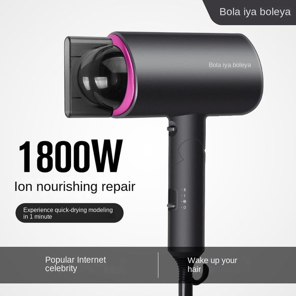 

110v-240v hairdryer home use high power negative ion silent and cold