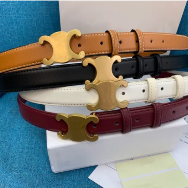 

luxury designer fashion belt classic style mens belt womens belts width 2.5cm can be cut by yourself length, Black;brown