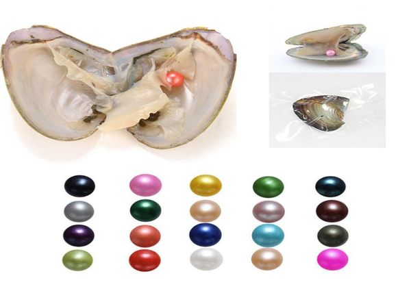 

whole natural pearl 67mm round pearl in oysters akoya oyster shell with colouful pearls jewelry by vacuum packed gift surpris4256260, White