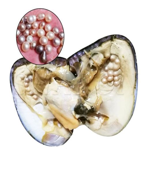 

whole about 25 pcs natural freshwater whole pearls oystermixed color freshwater pearl vacuum packaging whole oyster shells1693210, White