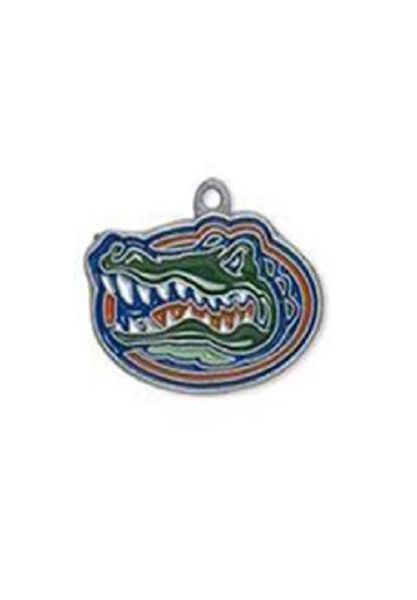 

alloy florida gators pendant charms silver metal enamel fg diy dangle charms earring trendy sport jewelry1900381, Bronze;silver