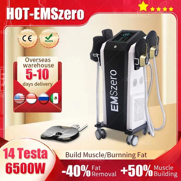 

2023 emszero nova ems 6000w neo 14tesla hi-emt muscle sculpt machine with 4 handles and pelvic stimulation pad optional emsslim