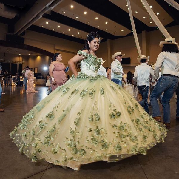 

stunning green quinceanera dresses off the shoulder 3d flower sweet 15 gowns plus size vestidos 16 prom party dress, Blue;red