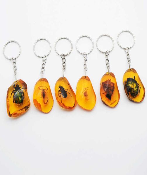 

6pcsset real scorpion key chain new luminous product real crab and scorpion keychain bag car key ring g10193847715, Silver