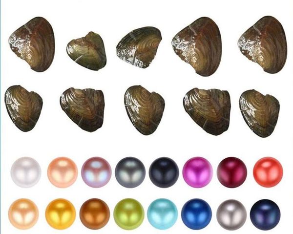 

fancy gift akoya pearl love freshwater shell pearl oyster 67mm mixed colors pearl oyster with vacuum packaging6215529, White