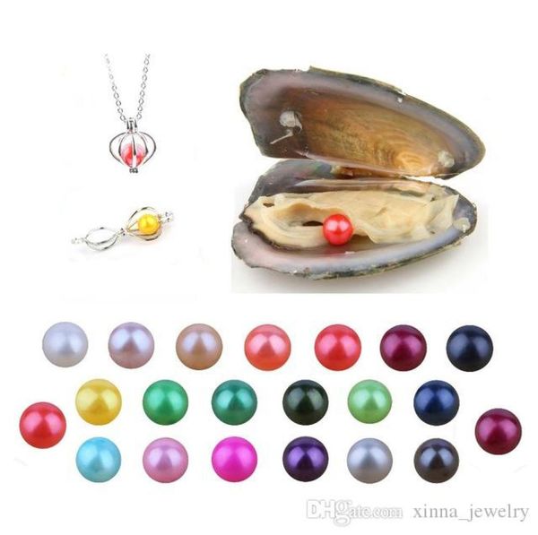 

whole diy 68mm round oyster pearl 25 mix color freshwater natural pearl loose decorations vacuum packaging trend gift surpris4984499, White